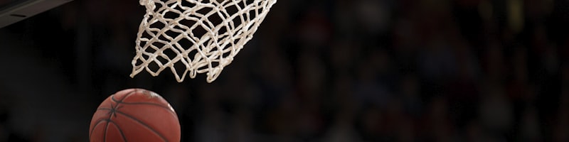 2023年NBA总决赛冠军丹佛掘金队球员约基奇手捧FMVP奖杯